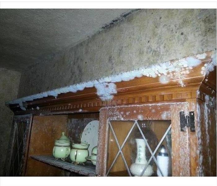 Mold Damage Can Cause Health Problems