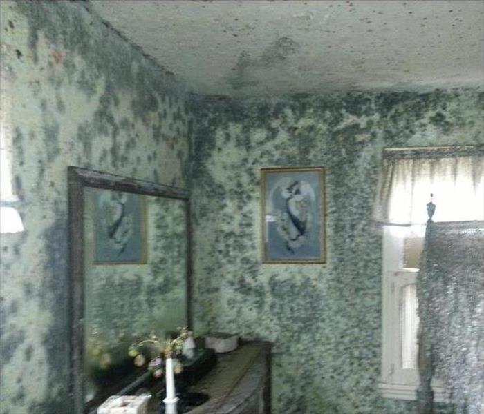 Severe Mold Damage Clean Up - Troy, NY
