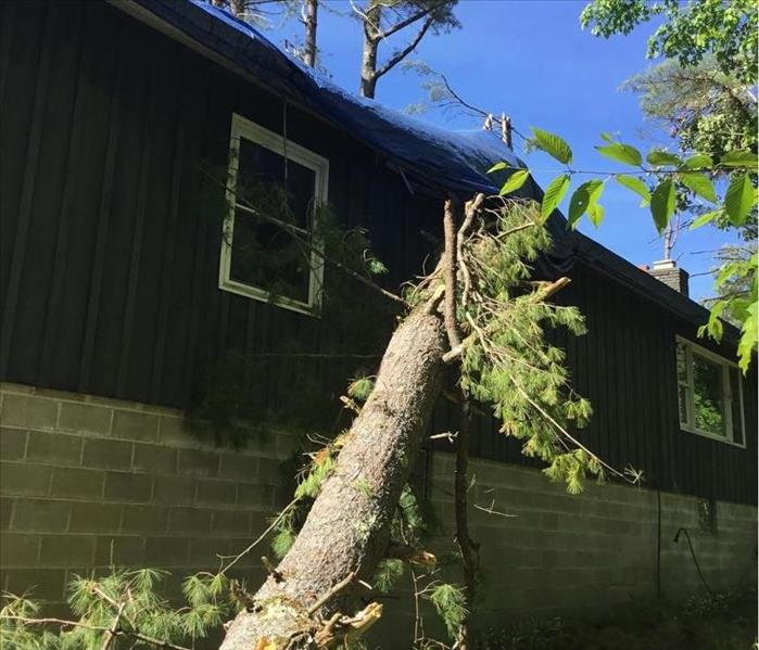 Tree falling on home due to a tornado